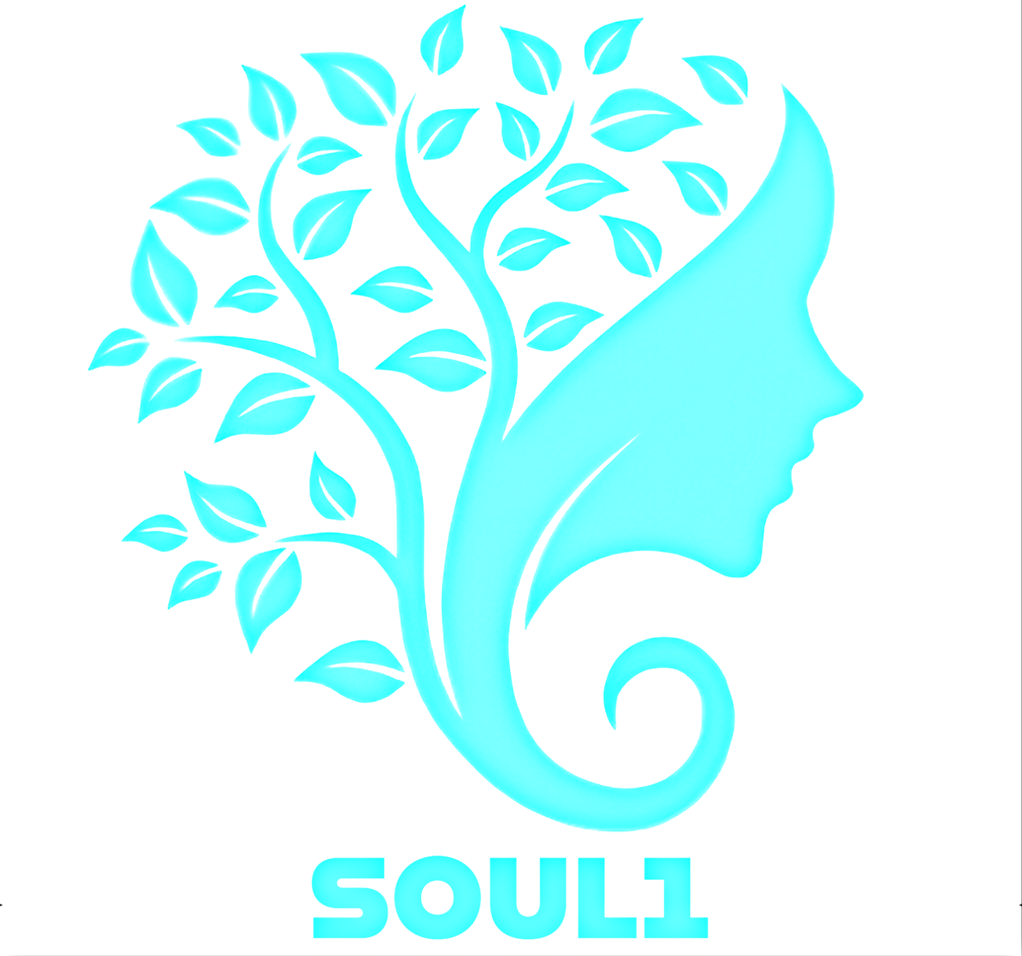 SOUL 1